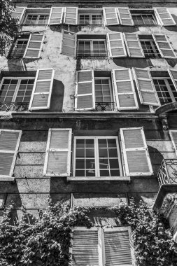 Yaprakları tarafından yapılan bir büyük bitki örtüsü, Santiago de Chile sokaklarında inanılmaz bir kentsel modeli çevrili beyaz ahşap pencere