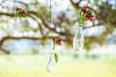 Asılı bir ip bir şişe Kazablanka, Chile Noel sırasında parlak bir görünümde içinde kırmızı gül çiçekler ile şirin bir bahçe süs şaşırtıcı bir bakış