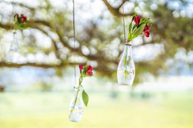 Asılı bir ip bir şişe Kazablanka, Chile Noel sırasında parlak bir görünümde içinde kırmızı gül çiçekler ile şirin bir bahçe süs şaşırtıcı bir bakış