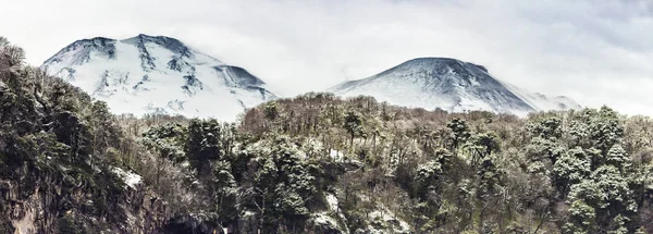 Verbazingwekkende Nevados Chillan Vulkaan Boven Vorst Het Hout Bomen Het — Stockfoto