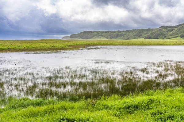 Incredibile Paesaggio Primaverile Con Una Laguna Allagata All Interno Erba — Foto Stock