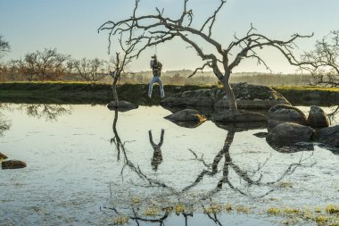 Kayalar ve Extremadura bölge açık havada, grassfields, lagünler, meşe ve sürü inek cutle İspanya kırsal tarım alanlarında, lagün üzerinde çıplak ağaçlar şaşırtıcı su yansımalar