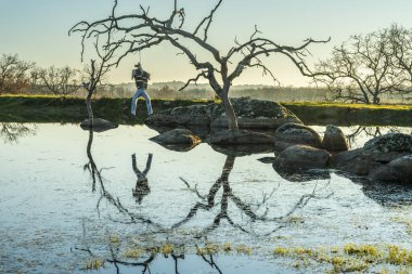 Kayalar ve Extremadura bölge açık havada, grassfields, lagünler, meşe ve sürü inek cutle İspanya kırsal tarım alanlarında, lagün üzerinde çıplak ağaçlar şaşırtıcı su yansımalar