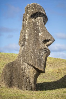 Ahu Akivi, Paskalya Adası 'nda Pasifik Okyanusu' na bakan tek Ahu platformu. Adanın merkezinde 7 moais hala ayakta duruyor. Ahu Akivi Moais büyüsünü ortaya çıkardı.