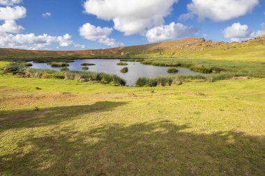 Kayalar ve Extremadura bölge açık havada, grassfields, lagünler, meşe ve sürü inek cutle İspanya kırsal tarım alanlarında, lagün üzerinde çıplak ağaçlar şaşırtıcı su yansımalar