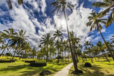 Paskalya Adası kıyıları harika bir kıyı şeridi görüyor, Rapa Nui, Şili