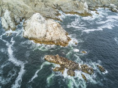Binlerce karabatak, Pasifik Okyanusu sularındaki Arica bölgesinde avlanmak için kayalıkların üzerindeki kayalıklarda kolonilerini bekliyor. Şili 'de inanılmaz bir deniz yaban hayatı