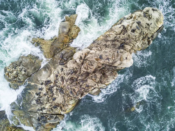 Тысячи Бакланов Ждут Своей Колонии Над Скалами Скалах Над Морем — стоковое фото