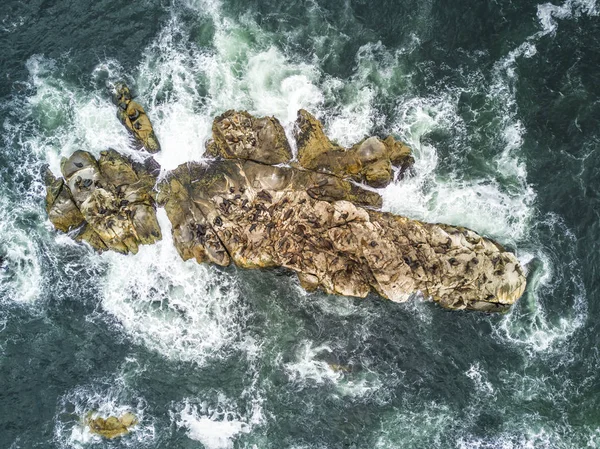 Тысячи Бакланов Ждут Своей Колонии Над Скалами Скалах Над Морем — стоковое фото