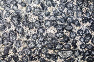 Caldera, Şili 'deki Atacama Çölü' nde orbiküler granit. Granit kayaların üzerinde daireler çizerek inanılmaz doğal desenler oluşturan bu granit oluşumlara sahip birkaç yer var.