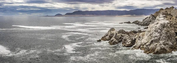 Binlerce Karabatak Pasifik Okyanusu Sularındaki Arica Bölgesinde Avlanmak Için Kayalıkların — Stok fotoğraf