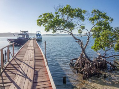 Güneşli bir günde tekneli ahşap iskelenin deniz manzarası 