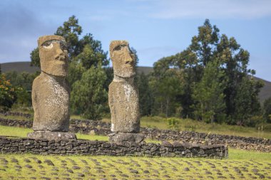 Ahu Akivi, Paskalya Adası 'nda Pasifik Okyanusu' na bakan tek Ahu platformu. Adanın merkezinde 7 moais hala ayakta duruyor. Ahu Akivi Moais büyüsünü ortaya çıkardı.