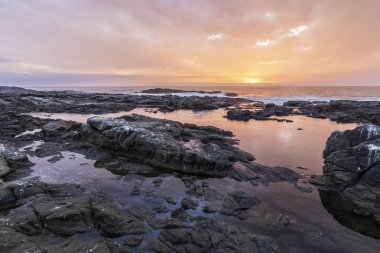 Anakena Sahili Paskalya Adası 'nın en ünlü plajı ve belki de Şili' nin en iyisi. Polinezya adalarından gelen palmiye ağaçları ve Ahu Nau Moais etkileyici bir plaj.