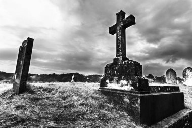 Güneşli bir günde çayırdaki eski mezarlığa bak 