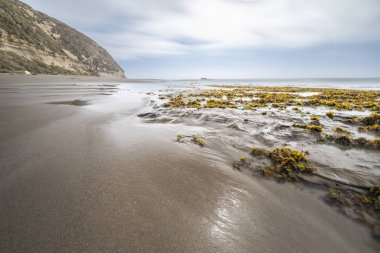Şaşırtıcı Las Brisas Şili'deki vahşi bir çevre üzerindeki bir huşu deniz kıyı şeridi manzara plaj. Dalgalar yosun ve kayalar üzerine su akışı itme ise sonsuz ufuk üzerinde güneşin battığı