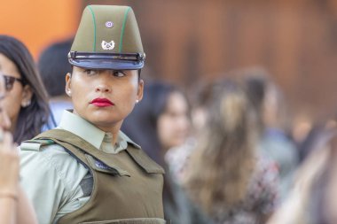 Carabinero polis kadın portre Santiago de Chile şehrinde kadın gün gösteri sırasında: Santiago ülke: Şili 8 Mart 2019