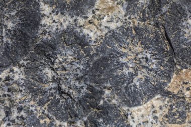 Caldera, Şili 'deki Atacama Çölü' nde orbiküler granit. Granit kayaların üzerinde daireler çizerek inanılmaz doğal desenler oluşturan bu granit oluşumlara sahip birkaç yer var.