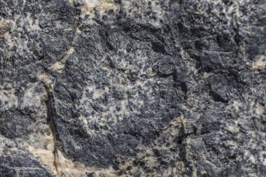 Caldera, Şili 'deki Atacama Çölü' nde orbiküler granit. Granit kayaların üzerinde daireler çizerek inanılmaz doğal desenler oluşturan bu granit oluşumlara sahip birkaç yer var.