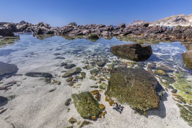 Atacama Çölü 'ndeki kayalık bir sahilde inanılmaz havuzlar. Pasifik Okyanusu 'nun sularının Şili kıyılarını çökerttiği vahşi doğa dünyanın en kurak çölünün içindeki huzurlu bir çevreye çarpıyor.