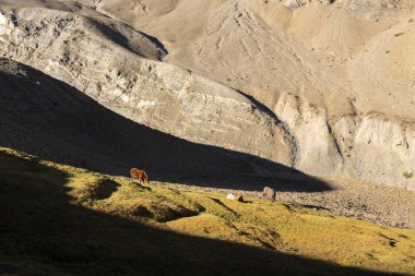 Şili 'deki sonsuz Orta And Dağları manzarası  