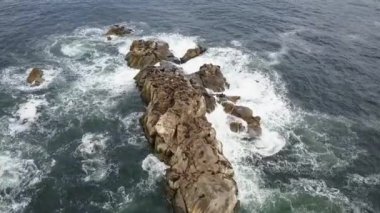 Hava görüntüleri Atacama Tatlı, bir Ada deniz aslanları ve Pasifik Okyanusu kıyı şeridi, huşu vahşi doğa Atacama Bölgesi'nde Kuzey Şili'de inanılmaz bir deniz kuşu yaşam nüfuslu vahşi yaşam güzelliği görünümü