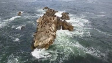 Hava görüntüleri Atacama Tatlı, bir Ada deniz aslanları ve Pasifik Okyanusu kıyı şeridi, huşu vahşi doğa Atacama Bölgesi'nde Kuzey Şili'de inanılmaz bir deniz kuşu yaşam nüfuslu vahşi yaşam güzelliği görünümü