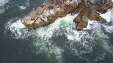 Hava görüntüleri Atacama Tatlı, bir Ada deniz aslanları ve Pasifik Okyanusu kıyı şeridi, huşu vahşi doğa Atacama Bölgesi'nde Kuzey Şili'de inanılmaz bir deniz kuşu yaşam nüfuslu vahşi yaşam güzelliği görünümü
