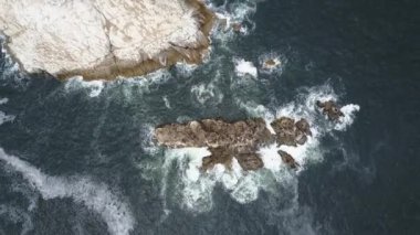 Hava görüntüleri Atacama Tatlı, bir Ada deniz aslanları ve Pasifik Okyanusu kıyı şeridi, huşu vahşi doğa Atacama Bölgesi'nde Kuzey Şili'de inanılmaz bir deniz kuşu yaşam nüfuslu vahşi yaşam güzelliği görünümü