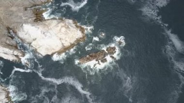 Hava görüntüleri Atacama Tatlı, bir Ada deniz aslanları ve Pasifik Okyanusu kıyı şeridi, huşu vahşi doğa Atacama Bölgesi'nde Kuzey Şili'de inanılmaz bir deniz kuşu yaşam nüfuslu vahşi yaşam güzelliği görünümü