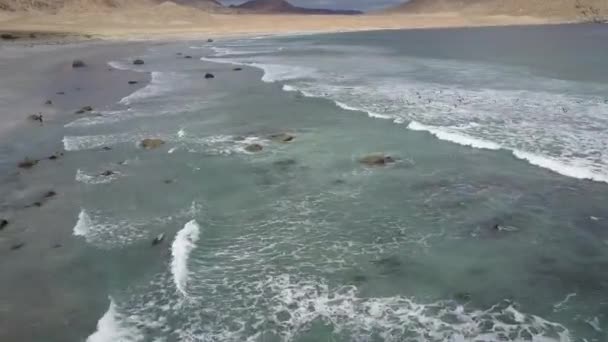 Veduta Aerea Grezza Della Zona Costiera Del Deserto Atacama Sulla — Video Stock