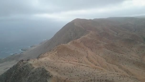 Atacama Droogste Woestijn Ter Wereld Heeft Nog Steeds Leven Het — Stockvideo