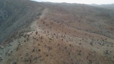 Atacama, dünyanın en kurak çölü hala içinde yaşam var, Pan de Azucar Milli Parkı'nda atacama'da denizden gelen nemle yaşamın nasıl büyüdüğünün inanılmaz bir temsili var.