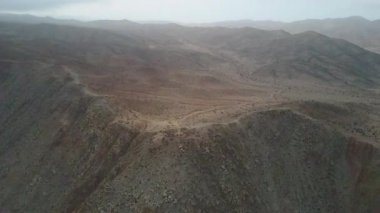 Atacama, dünyanın en kurak çölü hala içinde yaşam var, Pan de Azucar Milli Parkı'nda atacama'da denizden gelen nemle yaşamın nasıl büyüdüğünün inanılmaz bir temsili var.