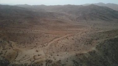 Atacama, dünyanın en kurak çölü hala içinde yaşam var, Pan de Azucar Milli Parkı'nda atacama'da denizden gelen nemle yaşamın nasıl büyüdüğünün inanılmaz bir temsili var.