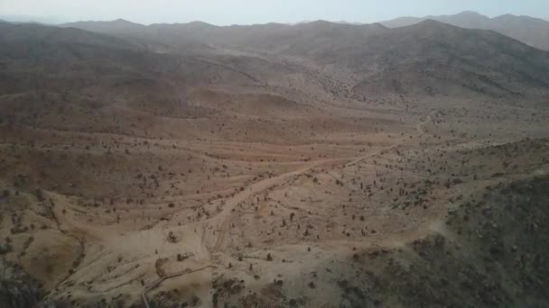 Atacama Deserto Più Secco Del Mondo Ancora Vita Suo Interno — Video Stock