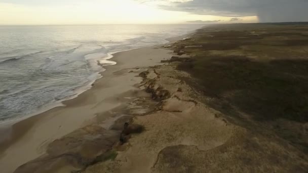 ウルグアイのビーチ 野生と処女の白い砂浜の空中生の映像は 畏敬の念を持つ荒野の環境の中で野生と孤独なビーチを楽しむこの素晴らしい遠隔地で ポロニオ ウルグアイ — ストック動画