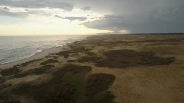 ウルグアイのビーチ 野生と処女の白い砂浜の空中生の映像は 畏敬の念を持つ荒野の環境の中で野生と孤独なビーチを楽しむこの素晴らしい遠隔地で ポロニオ ウルグアイ — ストック動画