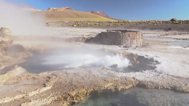 아타카마 사막의 타티오 가이저스 Tatio Geysers 안데스 500Masl에 놀라운 온천수로 — 비디오