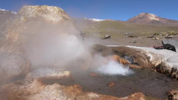 Tatio Gejzíry Poušti Atacama Úžasné Termální Prameny 4500 Masl Pohoří — Stock video