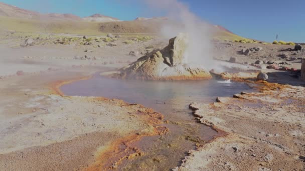 아타카마 사막의 타티오 가이저스 Tatio Geysers 안데스 500Masl에 놀라운 온천수로 — 비디오