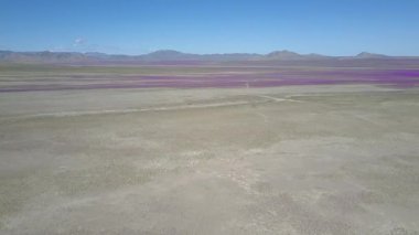 Atacama Çölü'nün havadan görünümü 