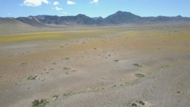 Çöl Çiçekleri, sarı çiçek yatak alanları havadan insansız hava aracı görüntüleri. Zaman zaman yağmur Atacama Çölü'ne gelir, ne zaman binlerce çiçek çölde büyümek olur, şaşırtıcı 