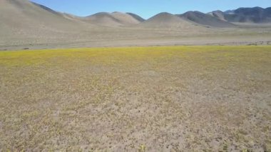 Sarı Çiçekler Alanı havadan görünümü