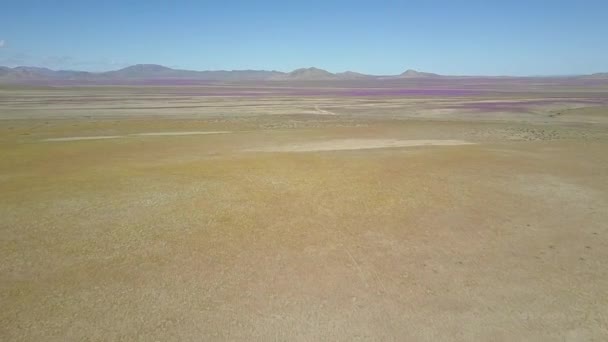 Luchtfoto Van Atacama Desert — Stockvideo