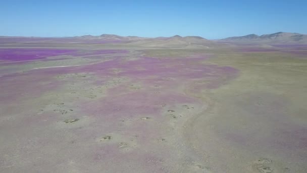 Vista Aérea Del Desierto Atacama — Vídeos de Stock