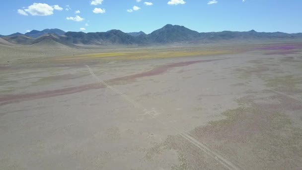 Vue Aérienne Désert Atacama — Video