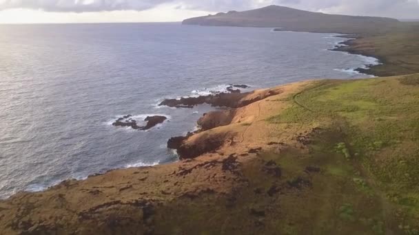 Aerial View Easter Island — Stock Video