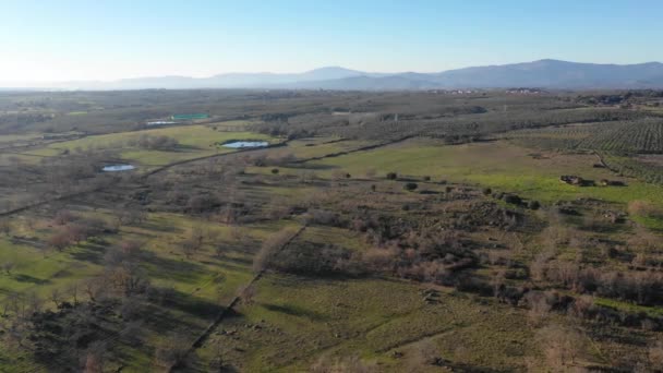 Vue Aérienne Île Pâques — Video