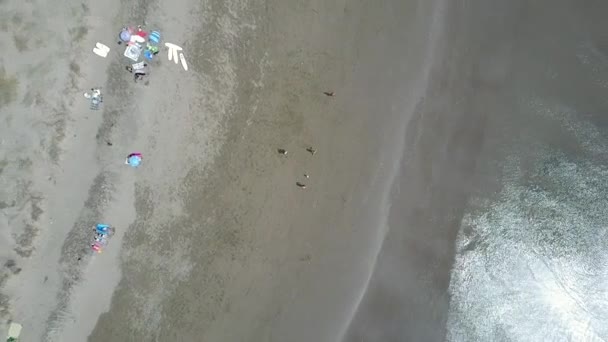 バルパライソ地方のサリーナス プルラリービーチの航空写真 デルタ川 チリ中心部の非常に素晴らしいサーフスポット 4K空中ドローン映像 — ストック動画